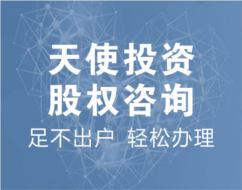 天使投资股权咨询